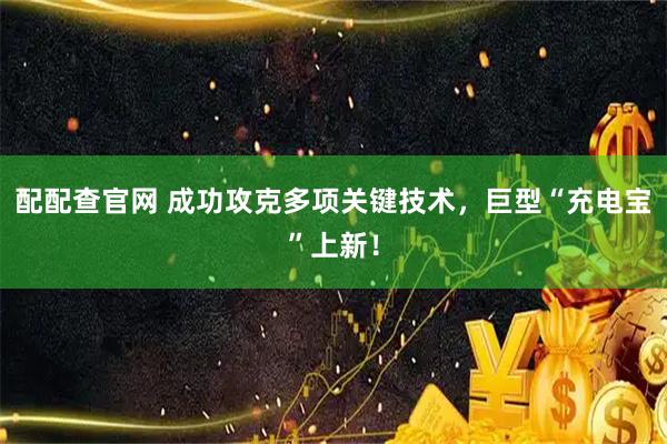 配配查官网 成功攻克多项关键技术，巨型“充电宝”上新！
