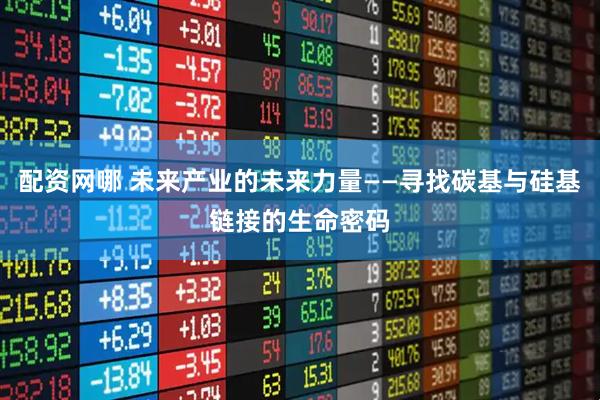 配资网哪 未来产业的未来力量——寻找碳基与硅基链接的生命密码